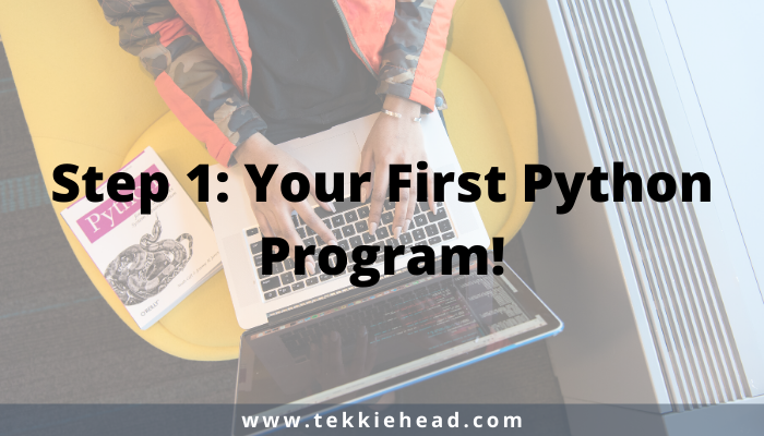 Step 1 Your First Python Program!
